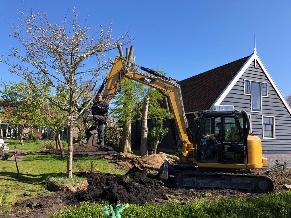 Douwe Dokter op kraan met te verplanten grote appelboom